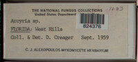 Image Associated With the Occurence